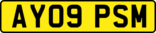 AY09PSM