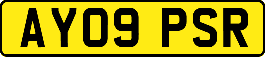 AY09PSR
