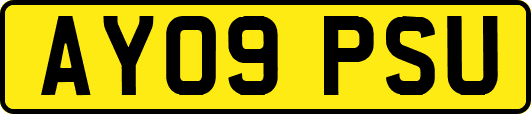 AY09PSU