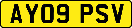 AY09PSV