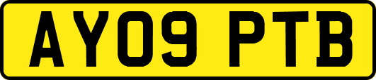 AY09PTB