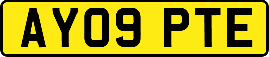 AY09PTE