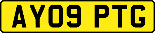 AY09PTG