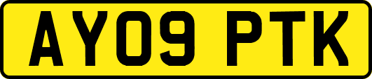 AY09PTK
