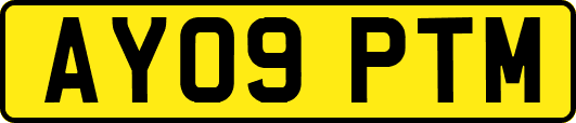 AY09PTM