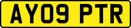 AY09PTR