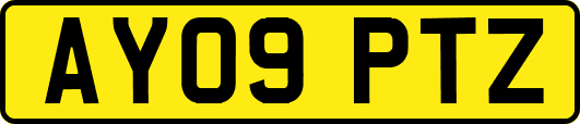 AY09PTZ