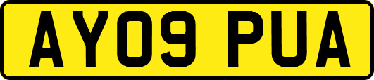 AY09PUA