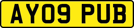 AY09PUB