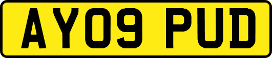 AY09PUD