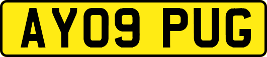 AY09PUG
