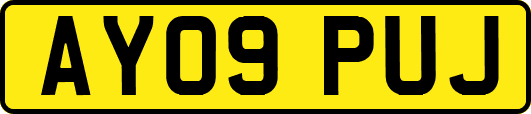 AY09PUJ
