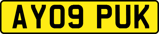 AY09PUK