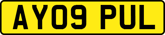 AY09PUL