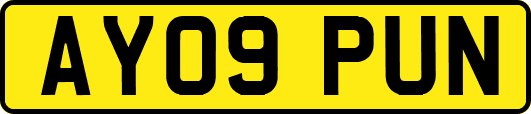 AY09PUN