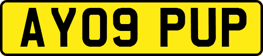 AY09PUP