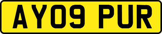 AY09PUR