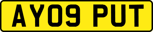 AY09PUT