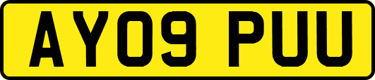 AY09PUU