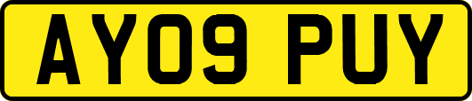 AY09PUY