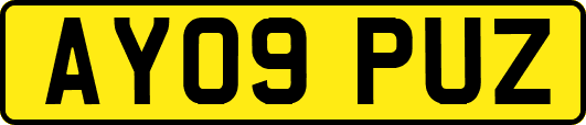 AY09PUZ