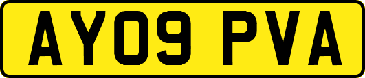 AY09PVA