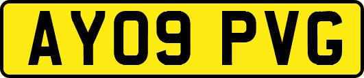 AY09PVG