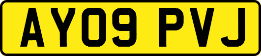 AY09PVJ