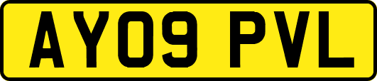 AY09PVL