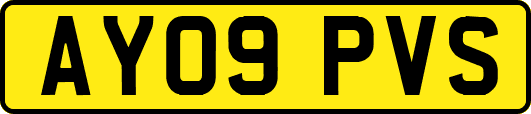 AY09PVS