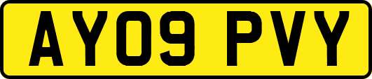 AY09PVY