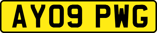 AY09PWG
