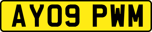 AY09PWM