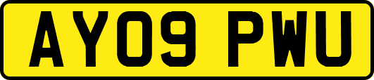 AY09PWU