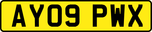 AY09PWX