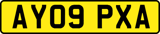 AY09PXA