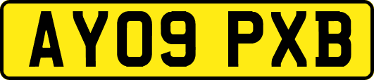 AY09PXB