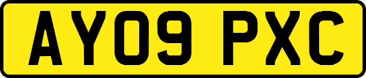 AY09PXC