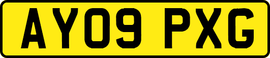 AY09PXG