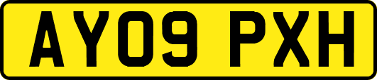 AY09PXH