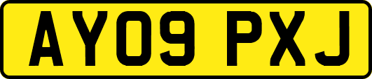 AY09PXJ