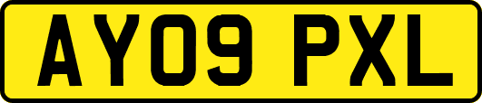 AY09PXL
