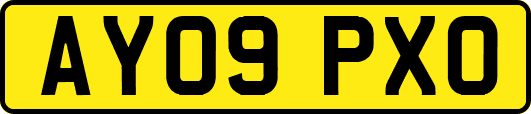 AY09PXO