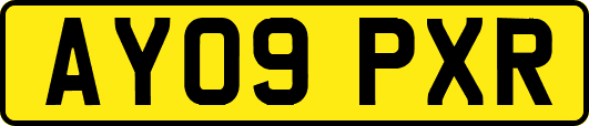 AY09PXR