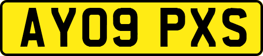 AY09PXS