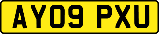 AY09PXU