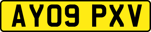 AY09PXV