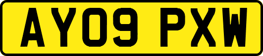 AY09PXW
