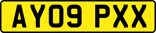 AY09PXX