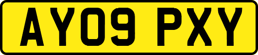 AY09PXY